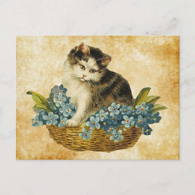 vintage kitty in basket postcard (Front)