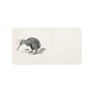 Vintage Kiwi Bird Antique Birds Template Label