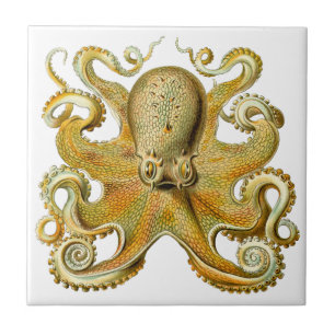 Vintage Kraken, Giant Octopus by Ernst Haeckel Ceramic Tile