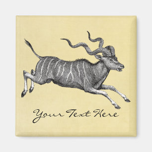 Vintage Kudu Magnet