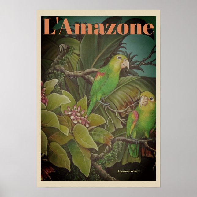 Vintage L 'Amazone Travel Poster (Front)