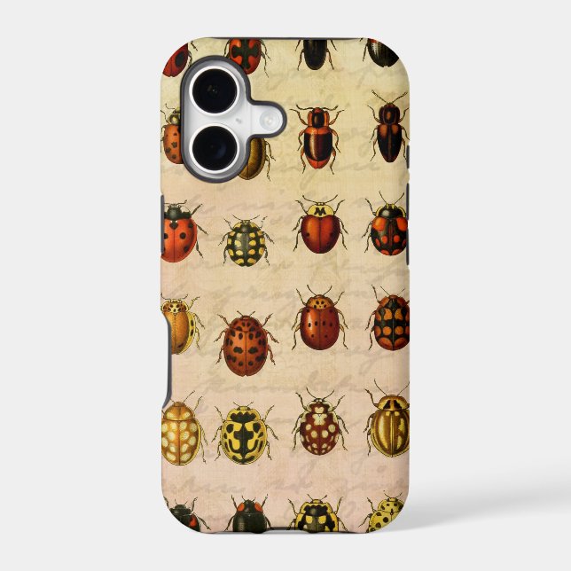 Vintage Ladybug Specimen Pattern Antique Insect (Back)