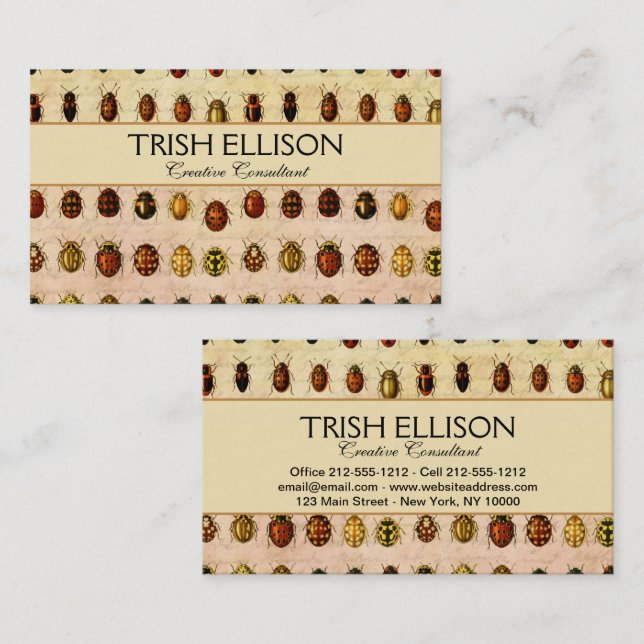 Vintage Ladybug Specimen Pattern Antique Insect Business Card (Front/Back)