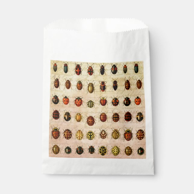 Vintage Ladybug Specimen Pattern Antique Insect Favour Bag (Front)