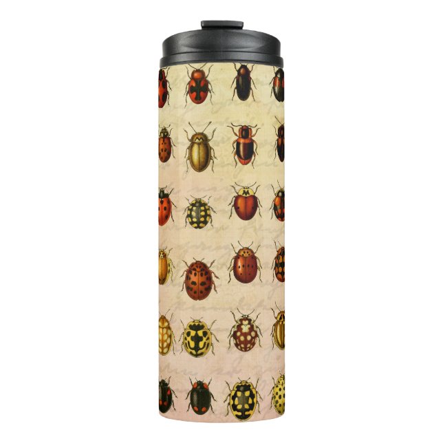 Vintage Ladybug Specimen Pattern Antique Insect Thermal Tumbler (Front)