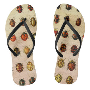 Vintage Ladybug Specimen Pattern Antique Insect Thongs