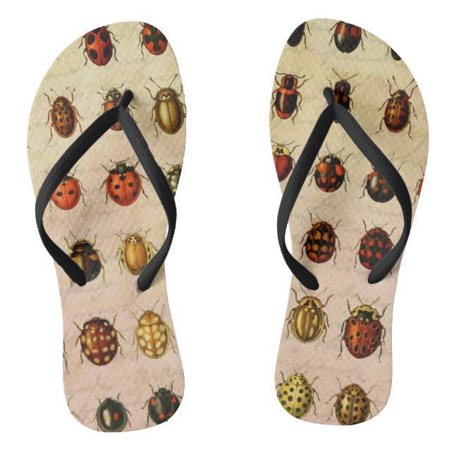 Vintage Ladybug Specimen Pattern Antique Insect Thongs (Footbed)