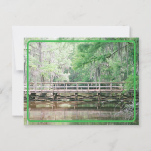 Vintage Lake Bridge Postcard