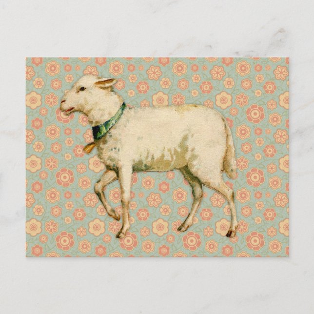 Vintage Lamb Art Postcard (Front)