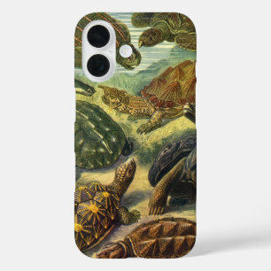 Vintage Land Tortoise Sea Turtles by Ernst Haeckel iPhone 16 Case