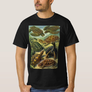 Vintage Land Tortoise Sea Turtles by Ernst Haeckel T-Shirt