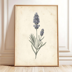 Vintage Lavender Botanical Wall Art