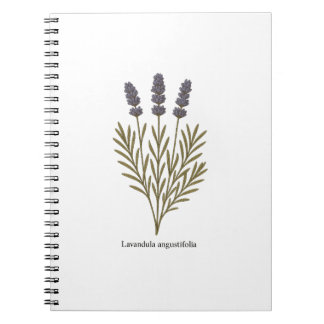 Vintage Lavender Flower Illustration Notebook