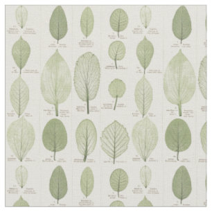 Vintage Leaf Illustrations Fabric
