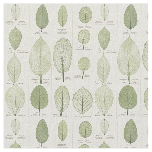 Vintage Leaf Illustrations Fabric (Close Up)