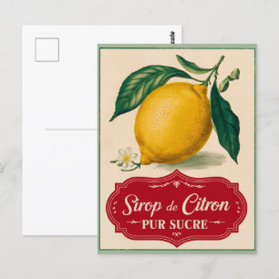 Vintage Lemon Botanical Fruit Postcard 