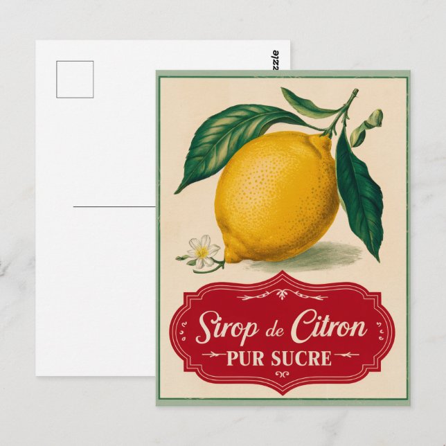 Vintage Lemon Botanical Fruit Postcard  (Front/Back)