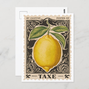 Vintage Lemon Botanical Fruit Postcard