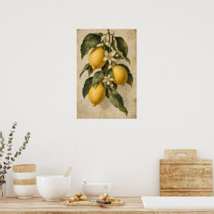 Vintage Lemon Botanical Mediterranean Kitchen Poster