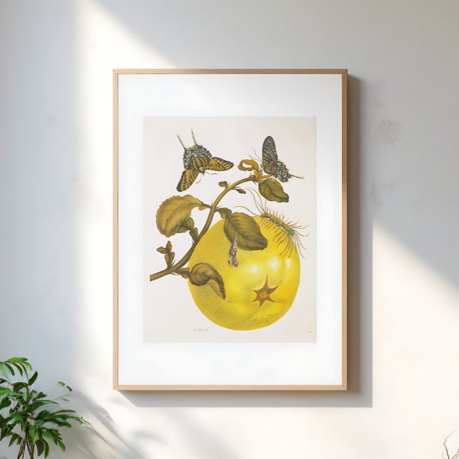 Vintage Lemon Plant With Butterflies Yellow Art Poster (Creator Uploaded)