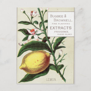 Vintage Lemon Postcard