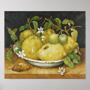 Vintage Lemon Still Life Poster