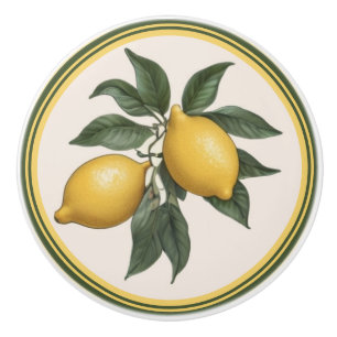 Vintage Lemons Dark Blue Green Yellow Lemon Ceramic Knob
