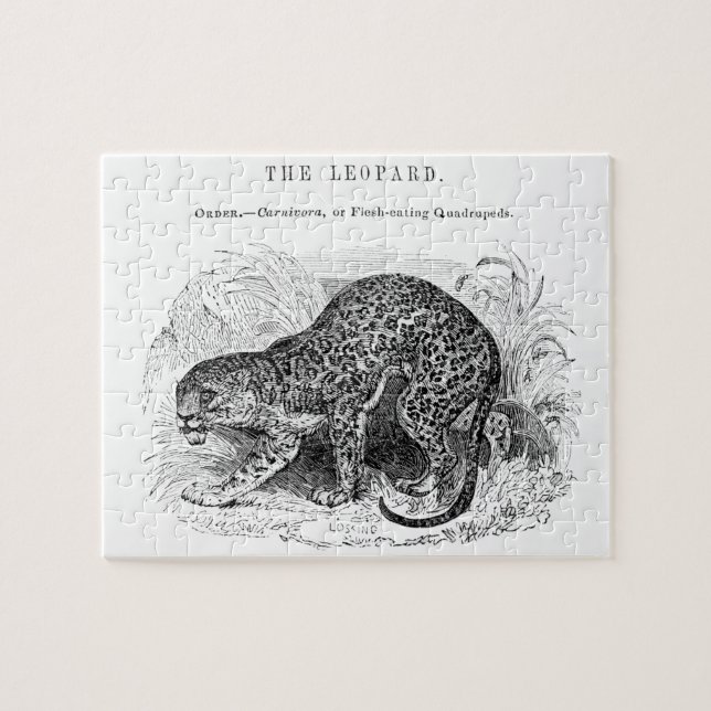 Vintage leopard wildlife illustration jigsaw puzzle (Horizontal)