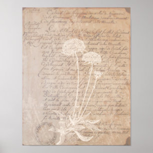 Vintage Letter and Botanical Print Poster