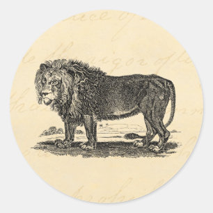 Vintage Lion Illustration - 1800's African Animal Classic Round Sticker