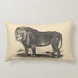 Vintage Lion Illustration - 1800's African Animal Lumbar Cushion