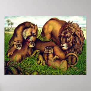 Vintage lion pride painting poster