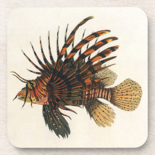 Vintage Lionfish Fish, Marine Ocean Life Animal Coaster