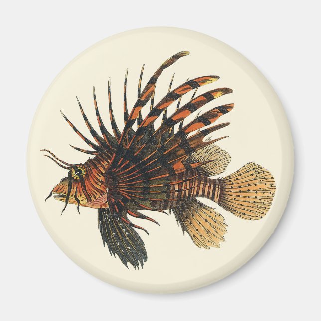 Vintage Lionfish Fish, Marine Ocean Life Animal Magnet (Front)