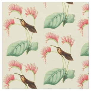 Vintage Little Hermit Hummingbird Fabric