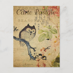 Vintage Little Owl Pink Roses French Postcard