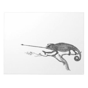 Vintage Lizard Chameleon Illustration Template Notepad