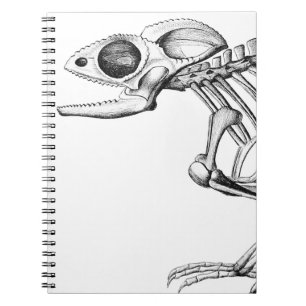 Vintage lizard skeleton notebook