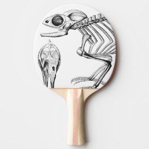 Vintage lizard skeleton ping pong paddle