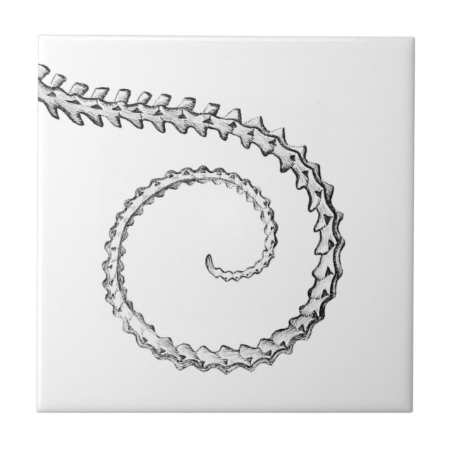 Vintage lizard skeleton tile (Front)