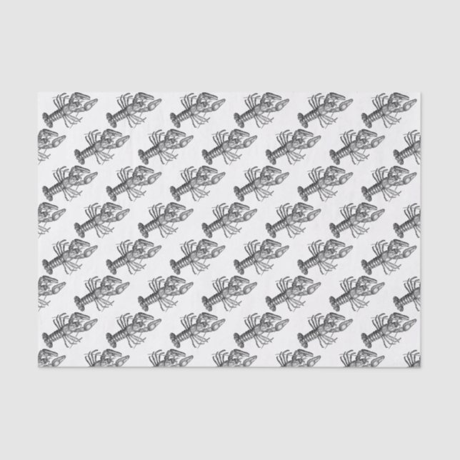 Vintage Lobster #1 Drawing Tissue Paper (Front)