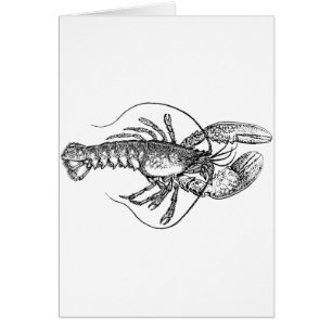 Vintage Lobster illustration