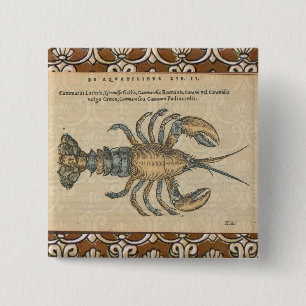 Vintage Lobster Illustration: Coastal Damask 15 Cm Square Badge