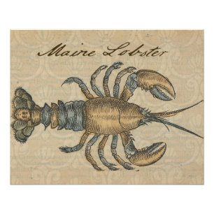 Vintage Lobster Illustration: Coastal Damask  Poster