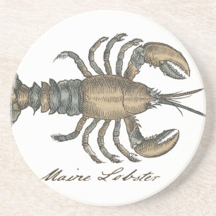 Vintage Lobster illustration Coaster