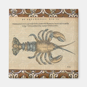 Vintage Lobster illustration Magnet