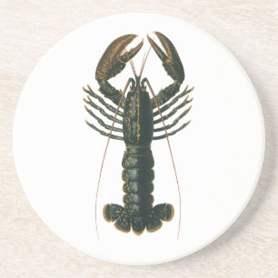 Vintage Lobster, Marine Ocean Life Crustacean Coaster