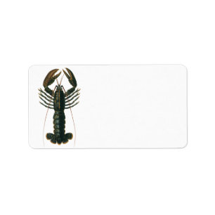Vintage Lobster, Marine Ocean Life Crustacean Label