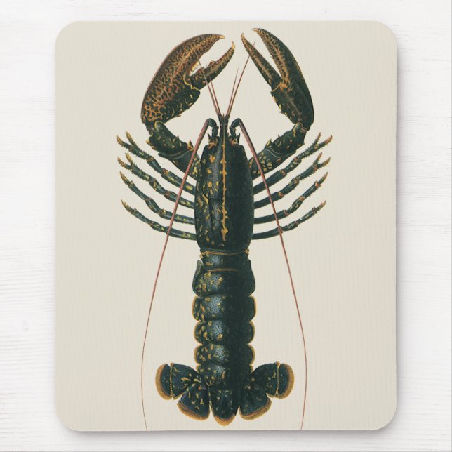 Vintage Lobster, Marine Ocean Life Crustacean Mouse Pad (Front)