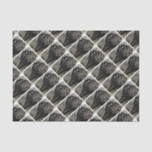 Vintage Locomotive Tissue Paper